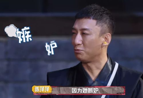 六、 案例解析——真实实（或编造）的“靖怡”人物故事