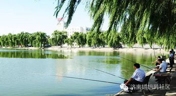 文瀛湖：人太多了！简直是钓鱼人的噩梦！
