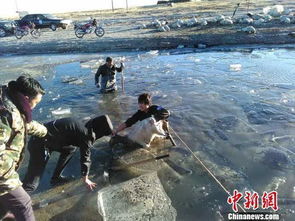 河底的冤魂：被遗忘的历史