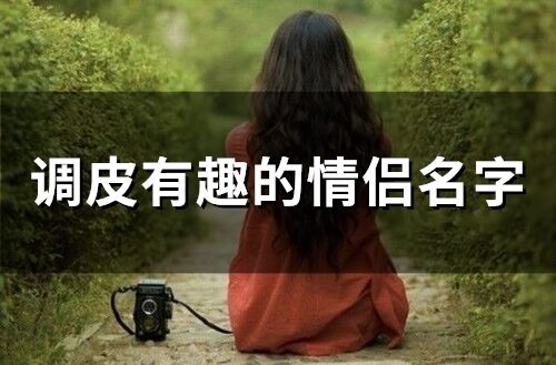 有哪些搞笑调皮有趣的情侣名字可依推荐？