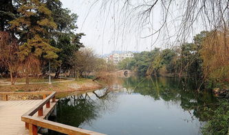 滨湖公园：享受天然恩赐