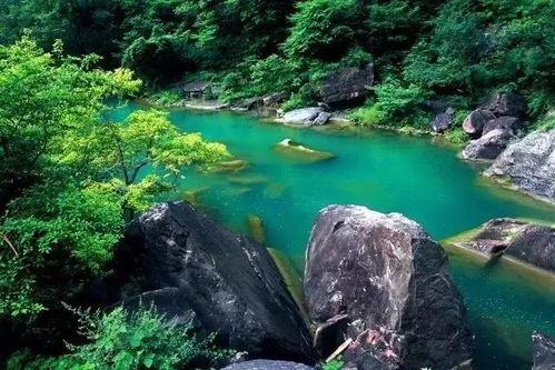八里沟：峡谷里的回声测试室?