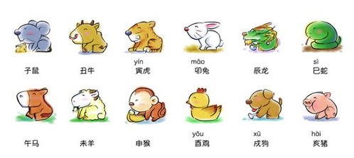 1. 情感运势——随缘而动