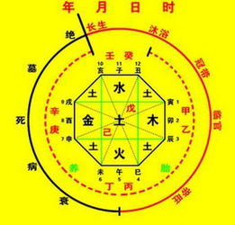 八字中的后运具体指的是什么阶段或时期的人生运势？