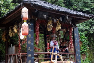 四、 七日风情之旅：一场文化与自然的盛宴