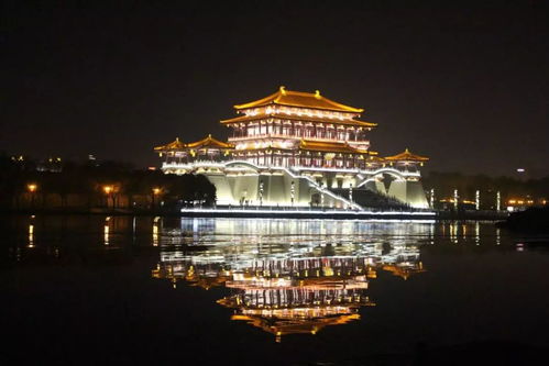 2026年最新薅羊毛指南