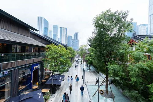 四月的成都：随意乱糟糟的旅行指南