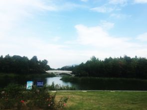 周末相约西湖畔：一场莫名其妙的“浪漫”实验