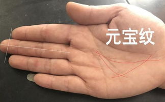 不同类型的“三纹手”，命运各不相同