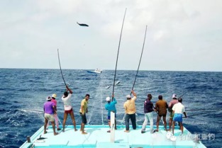 东营黄河口：野钓者的终极试炼场（或者说是折磨场？）