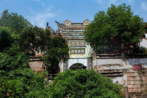 第一站：从弥勒出发