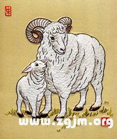 91年属羊人2026年运势如何？性格特点是什么？