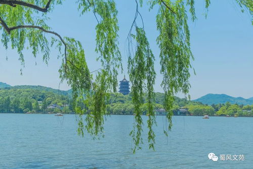 西湖景区，人山人海中的诗意