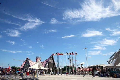 3. 潍坊风筝博物馆（风筝爱好者的天堂，也许是地狱）
