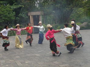 学舞的血泪进化史