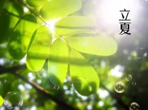 泉州立夏节：千年古俗，夏至味蕾盛宴