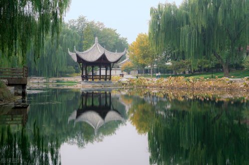 2026年最新骗局！陶然亭公园优惠政策的惊天黑幕