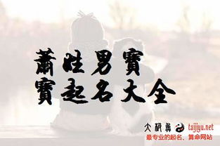 寻根溯源：萧姓的历史与文化底蕴