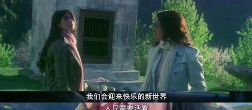 未完的结局：紫微斗数的启示