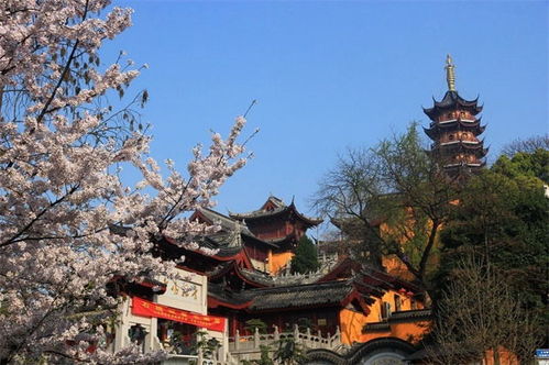 鸡鸣寺——钟声与咖啡香交织的早晨仪式感