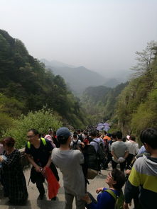 五一假期去哪儿浪？泰山啊！单是钱包准备好了吗？