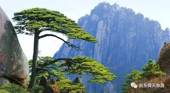 蒋家山遗址公园：触摸历史的脉搏