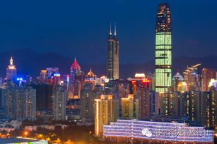五、 行业深度洞察与差异化建议（乱中有序）