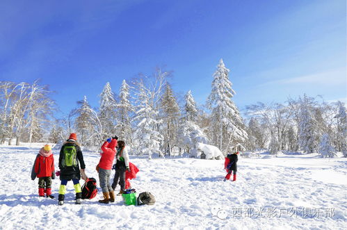 第三天：滑雪、 堆雪人、打雪仗