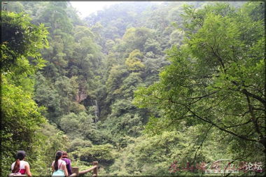 三、 旅行小贴士：平安与舒适的保障