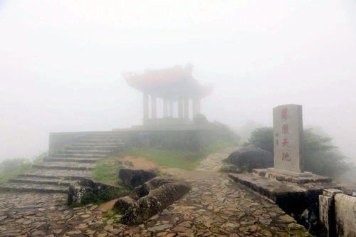 交通指南：混乱中的秩序