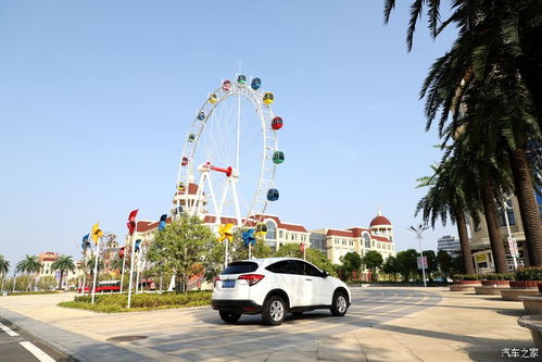 噪音：机械车驶过的轰鸣声、 观众兴奋尖叫声，以及树叶摇曳轻巧响，这一些都构成了一场活力四射的较大型音乐会。