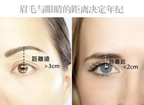 眉毛与额头