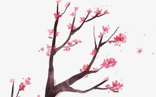 辛卯日柱女命是啥玩意儿？