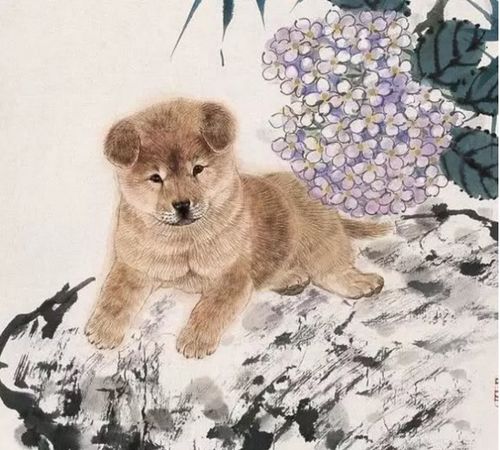 将狗续金貂打一生肖为生肖，这是什么生肖？