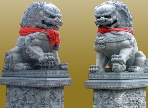 狮子的烦恼与人类的焦虑