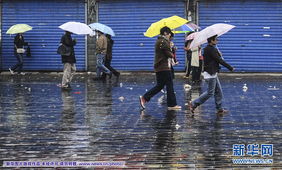 乱七八糟的数据拼凑：西南风到底有多神奇？