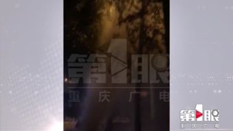 八三年蛇灾：历史与传说的交叉口