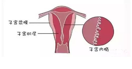 接下来我们探讨一下真实正有效的方法—不仅仅是吃，还包括生活方式调整和中医理念融合。