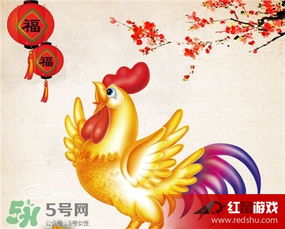 拜太岁：