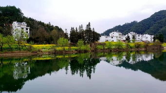 景点人挤人不如在家睡觉