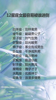 双子座：热闹中的独处与心思缜密