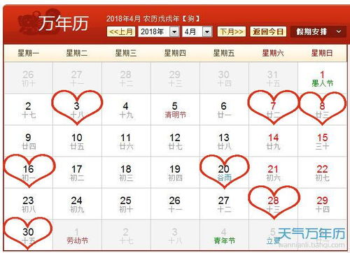 属兔的新人温柔体贴