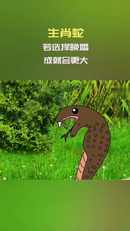 有钱后为何不图回报，只愿造福家乡的三大生肖是哪些？