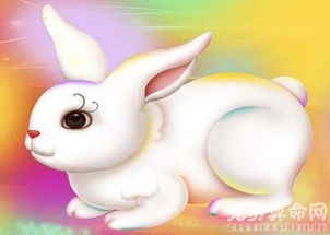 属兔的人是否具有双重性格，双鱼座的兔女生具体性格特点是什么？