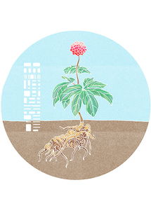 纸钱花纹与星象对应