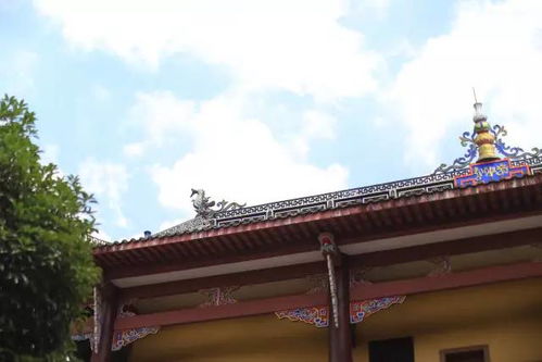 先说这栖林寺，到底是个啥地方？