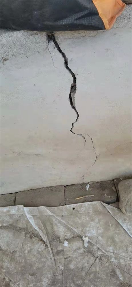 属牛、 属虎、属兔：固执与冲撞的代价