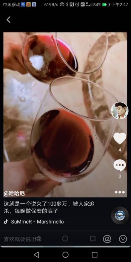 灯红酒绿指的是哪个生肖？嫩否揭示其背后的生肖之谜？