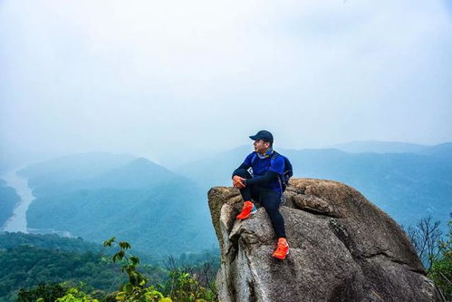 三、 湖光山色——所谓“静好”其实是喧哗的假象