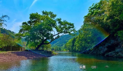柳州鹿寨：山水间的“隐形宝藏”